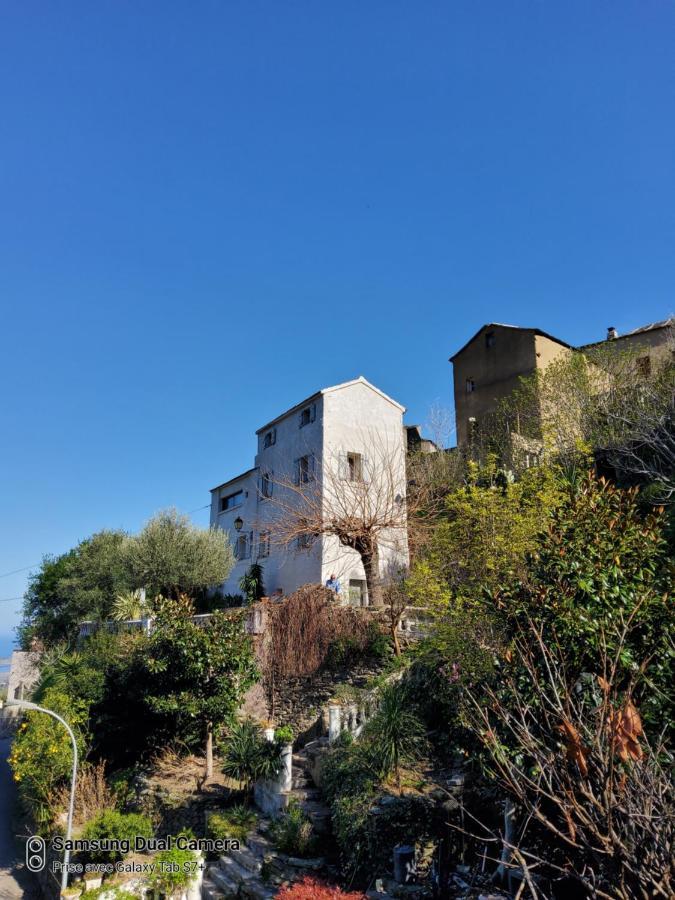 Maison Casa Nova Biguglia  Esterno foto